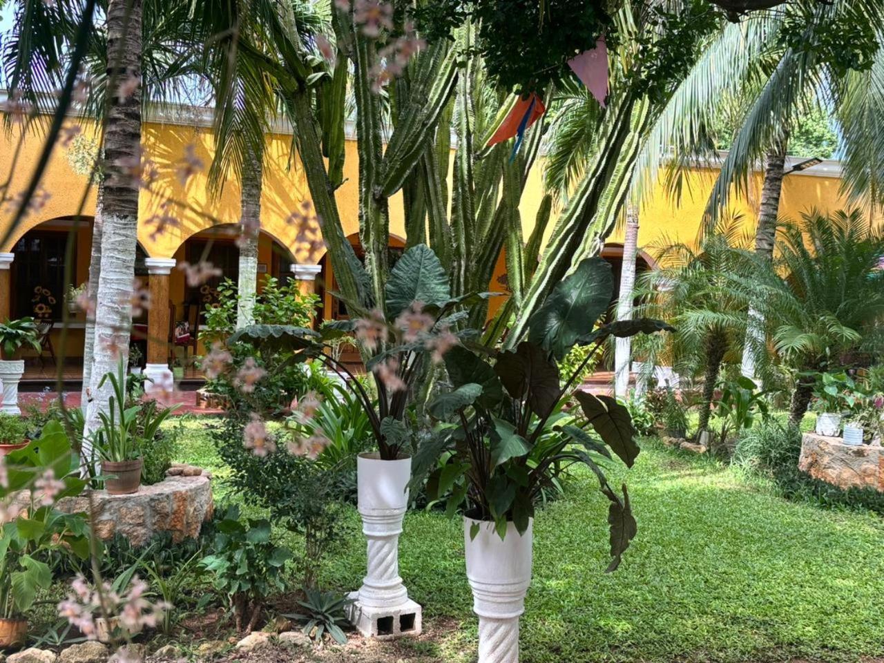 Casa Palagui Colonial Hotel Valladolid  Exterior photo